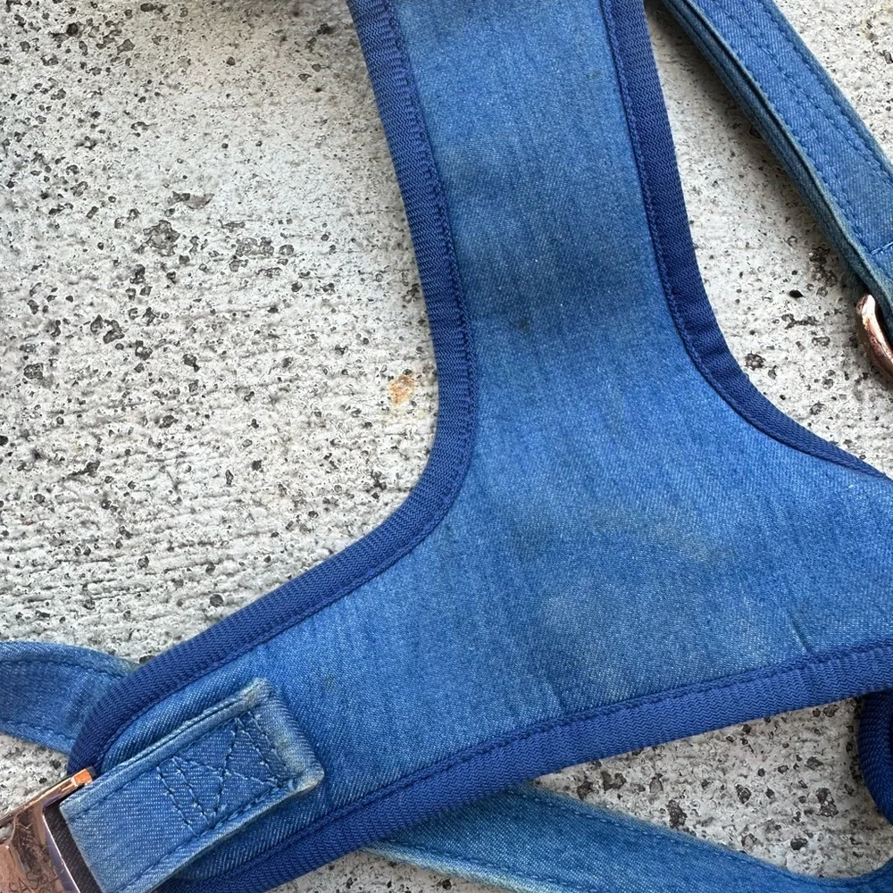 Sassy Woof Blue Dog Harness - Picture 2 of 3